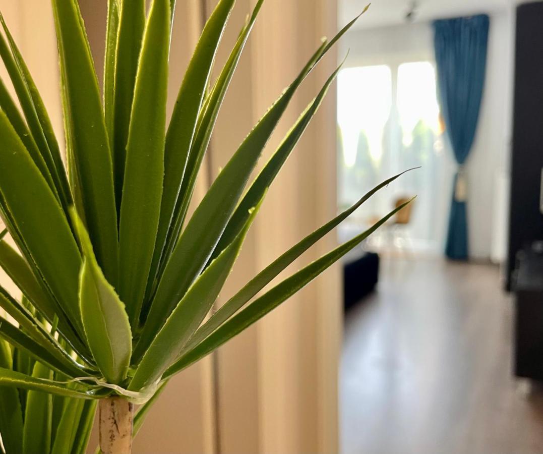 Aventurescu Studio Brasov Coresi Екстер'єр фото